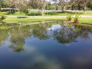 Hall Of Opium gardens