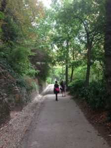 Pathway to La Basilique Notre Dame de Fourvière