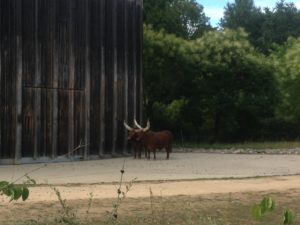 Parc de la Tête d'Or