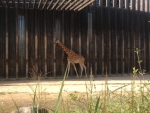 Parc de la Tête d'Or