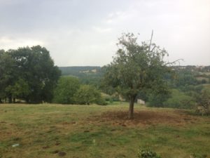 View from Pérouges