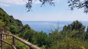 The trail between Monterosso al Mare and Vernazza
