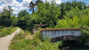 Lunense Canal - Adri stretching out